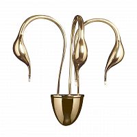 бра lightstar cigno collo 751632 в Иркутске