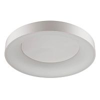 потолочный светодиодный светильник odeon light sole 4062/80cl в Иркутске