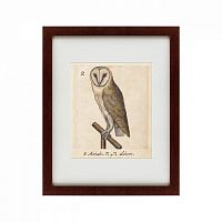 картина: one owl, 1560 в Иркутске