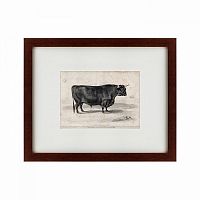картина: a west highland bull, 1840 в Иркутске