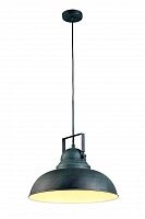 подвесной светильник arte lamp martin a5213sp-1bg в Иркутске