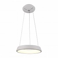 подвесной светодиодный светильник arte lamp a6240sp-1wh в Иркутске