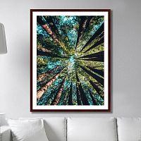 картина: deep forest в Иркутске