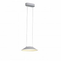 подвесной светодиодный светильник st luce pitto sl427.503.01 в Иркутске