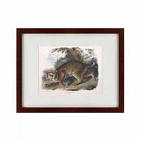 картина: bobcat, 1839 в Иркутске