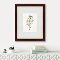 картина: pear tree flowers (pyrus calleryana), 1830 в Иркутске