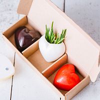 набор мини-кашпо heart красный,белый,черный в Иркутске