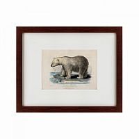 картина: white polar bear on an ice, 1830 в Иркутске