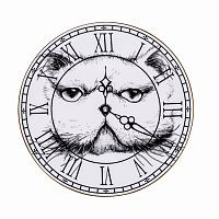 тарелка кот на циферблате в Иркутске