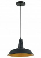 подвесной светильник odeon light kasl 3378/1 в Иркутске