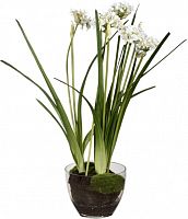 декор allium в Иркутске