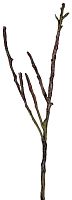 декор dry branches в Иркутске