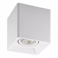 потолочный светильник denkirs dk3030-wh в Иркутске