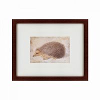 картина: a hedgehog, 1584 в Иркутске