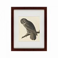 картина: great gray owl, 1834 в Иркутске