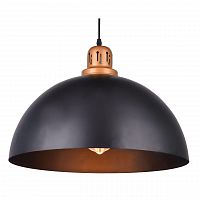 подвесной светильник arte lamp eurica a4249sp-1bk в Иркутске