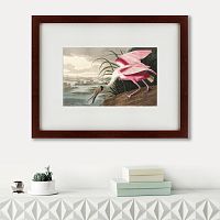 картина: roseate spoonbill, 1827 в Иркутске