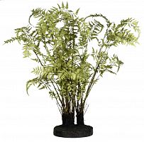 декор ferns в Иркутске