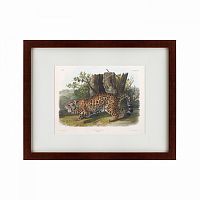 картина: jaguar, 1841 в Иркутске