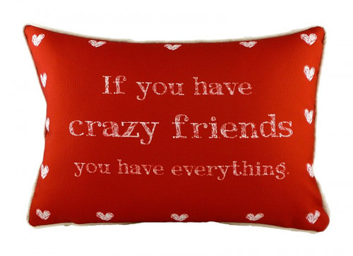 подушка с надписью crazy friends в Иркутске
