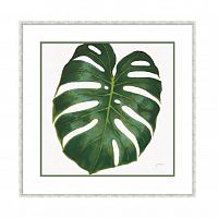 постер monstera зеленый в Иркутске
