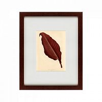 картина: the dark red leaf, 1881 в Иркутске