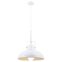 подвесной светильник arte lamp martin a5213sp-1wg в Иркутске