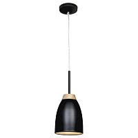 подвесной светильник loft it restor loft4402a-bl в Иркутске