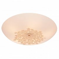 потолочный светильник silver light verbena 835.50.5 в Иркутске