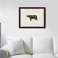 картина: rhinoceros ancienne gravure, 1849 в Иркутске