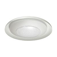 потолочный светодиодный светильник odeon light benso 4623/48cl в Иркутске