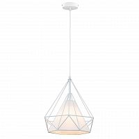 дизайнерский подвесной светильник spot light cage 9502102 в Иркутске