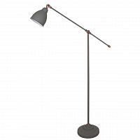 торшер arte lamp braccio a2054pn-1gy в Иркутске