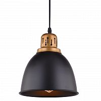 подвесной светильник arte lamp eurica a4245sp-1bk в Иркутске