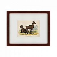 картина: two nilgais, 1830 в Иркутске