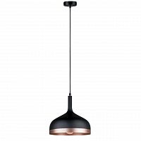 подвесной светильник paulmann embla 79629 в Иркутске