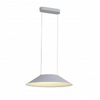 подвесной светодиодный светильник st luce pitto sl427.513.01 в Иркутске