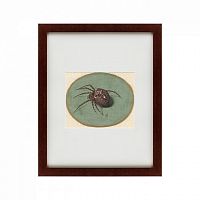 картина: spider, 1690 в Иркутске