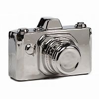 предмет декора camera серебряная в Иркутске