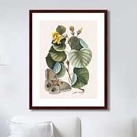 картина: beauty bloom №3, 1732г. в Иркутске
