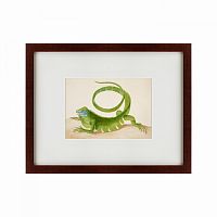 картина: green iguana, 1701 в Иркутске