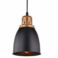 подвесной светильник arte lamp eurica a4248sp-1bk в Иркутске