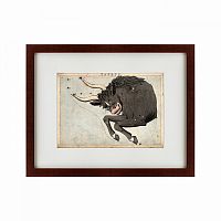 картина: signs of zodiac taurus, 1825 в Иркутске