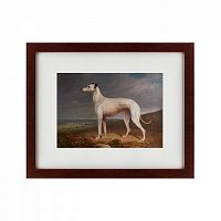 картина: portrait of a greyhound, 1744 в Иркутске