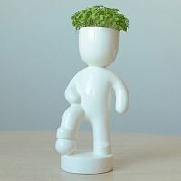 набор для выращивания eco футболист в Иркутске