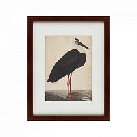 картина: black stork in a landscape, индия, 1780 в Иркутске
