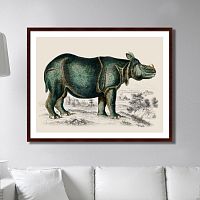 картина: rhinoceros, 1774г. в Иркутске