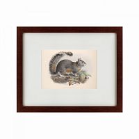 картина: the squirrel, 1879 в Иркутске
