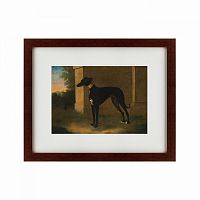 картина: portrait of a greyhound called pompon, 1746 в Иркутске