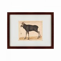 картина: moose, 1560 в Иркутске